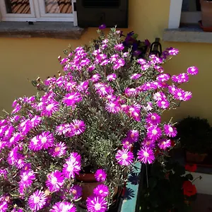 Appartement Casa Azzurra Menaggio